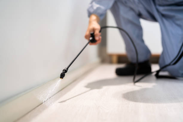 Licensed Cockroach Control service in Holly Springs, NC - Nex Pest Control
