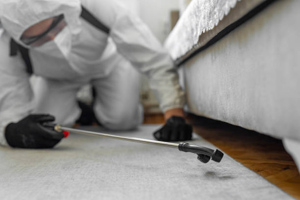Professional Cockroach Control technician working in Holly Springs, NC