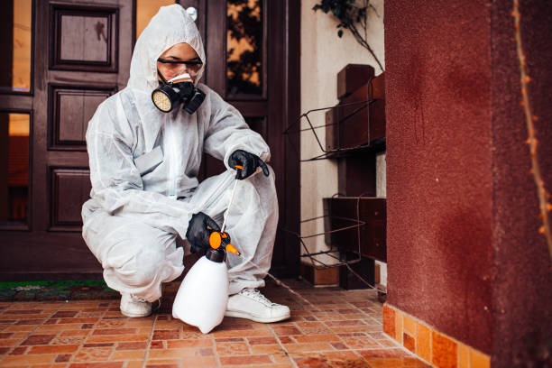 Reliable Cockroach Control contractor in Holly Springs, NC by Nex Pest Control