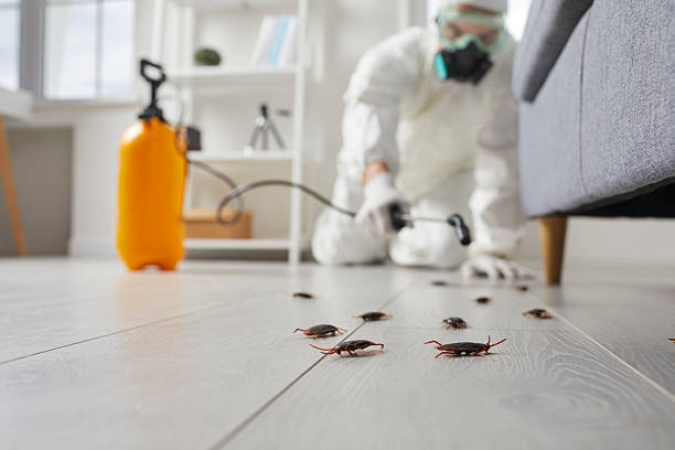Affordable Cockroach Control solutions in Holly Springs, NC